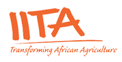 Logo Iita